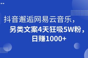 抖音邂逅网易云音乐，另类文案4天狂吸5W粉，日赚1000+【揭秘】