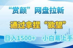 “赏颜”网盘拉新赛道，通过拿捏“欲望”日入1500+，小白易上手【揭秘】