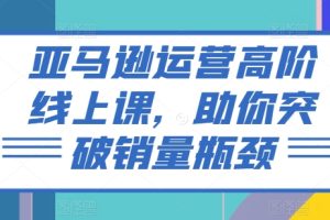 亚马逊运营高阶线上课，助你突破销量瓶颈